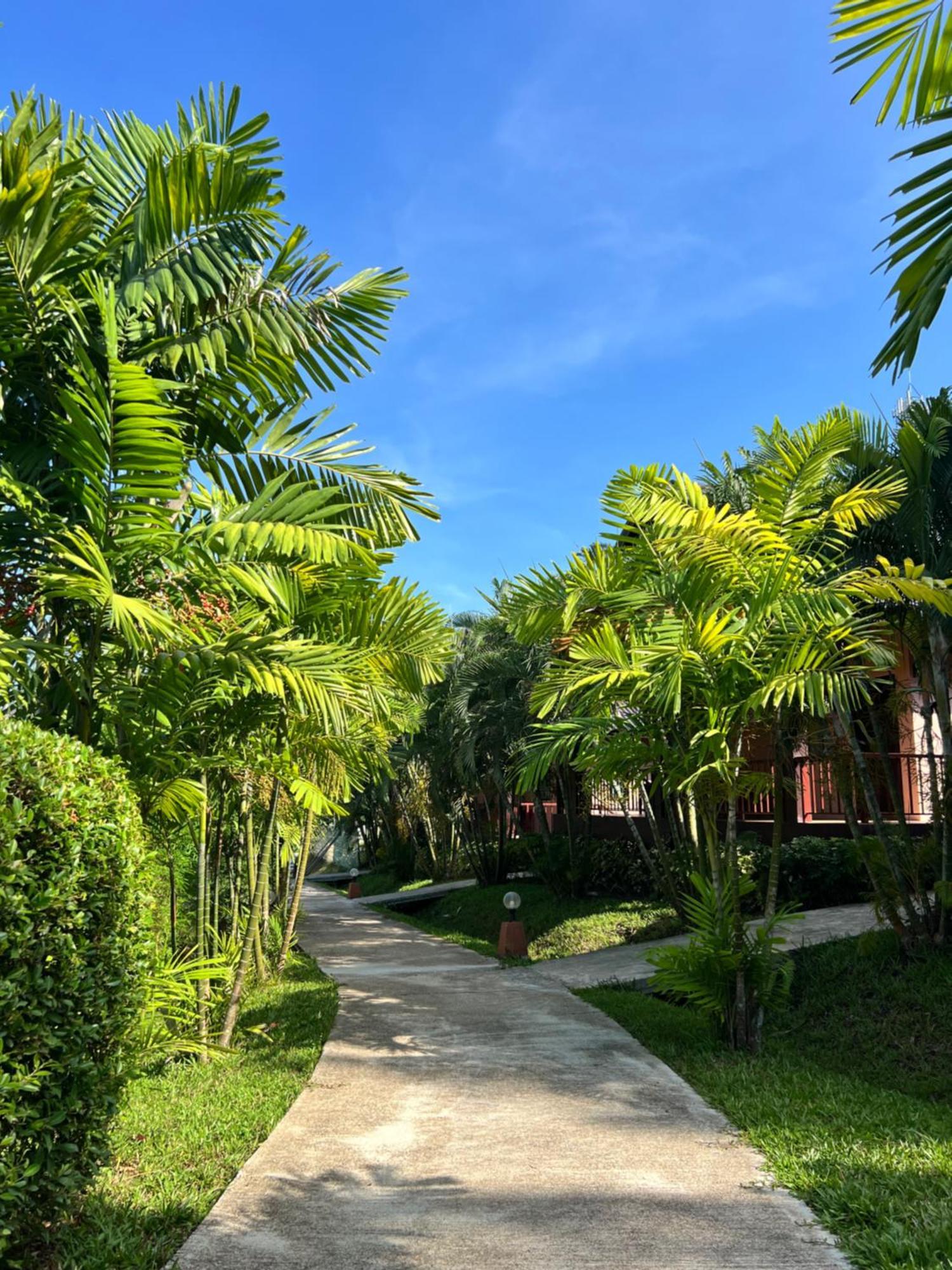 Palm Kiri Aonang Resort Ao Nang Dış mekan fotoğraf